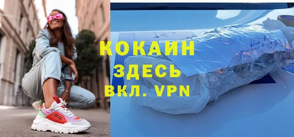 молекула духа Арсеньев