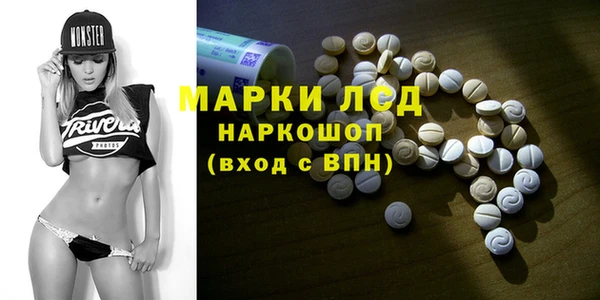 молекула духа Арсеньев